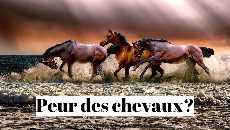 Comment vaincre la peur des chevaux ?